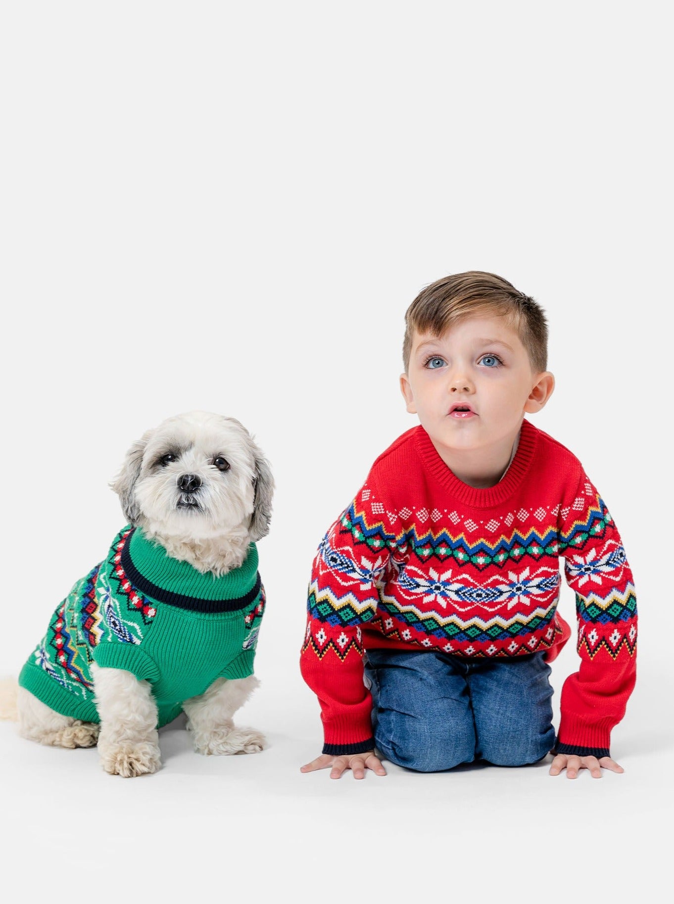 Basil Fairisle Dog Jumper