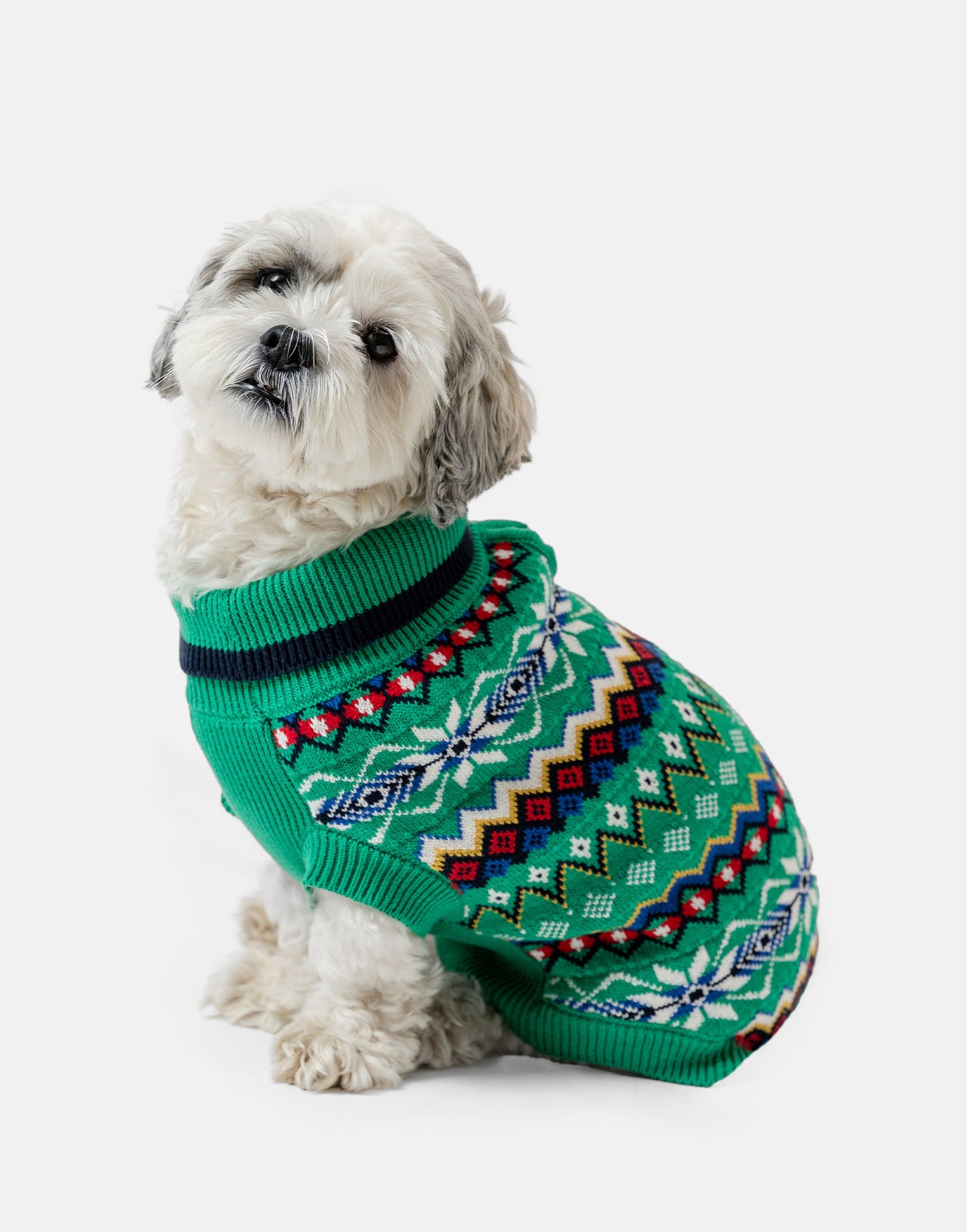 Basil Fairisle Dog Jumper