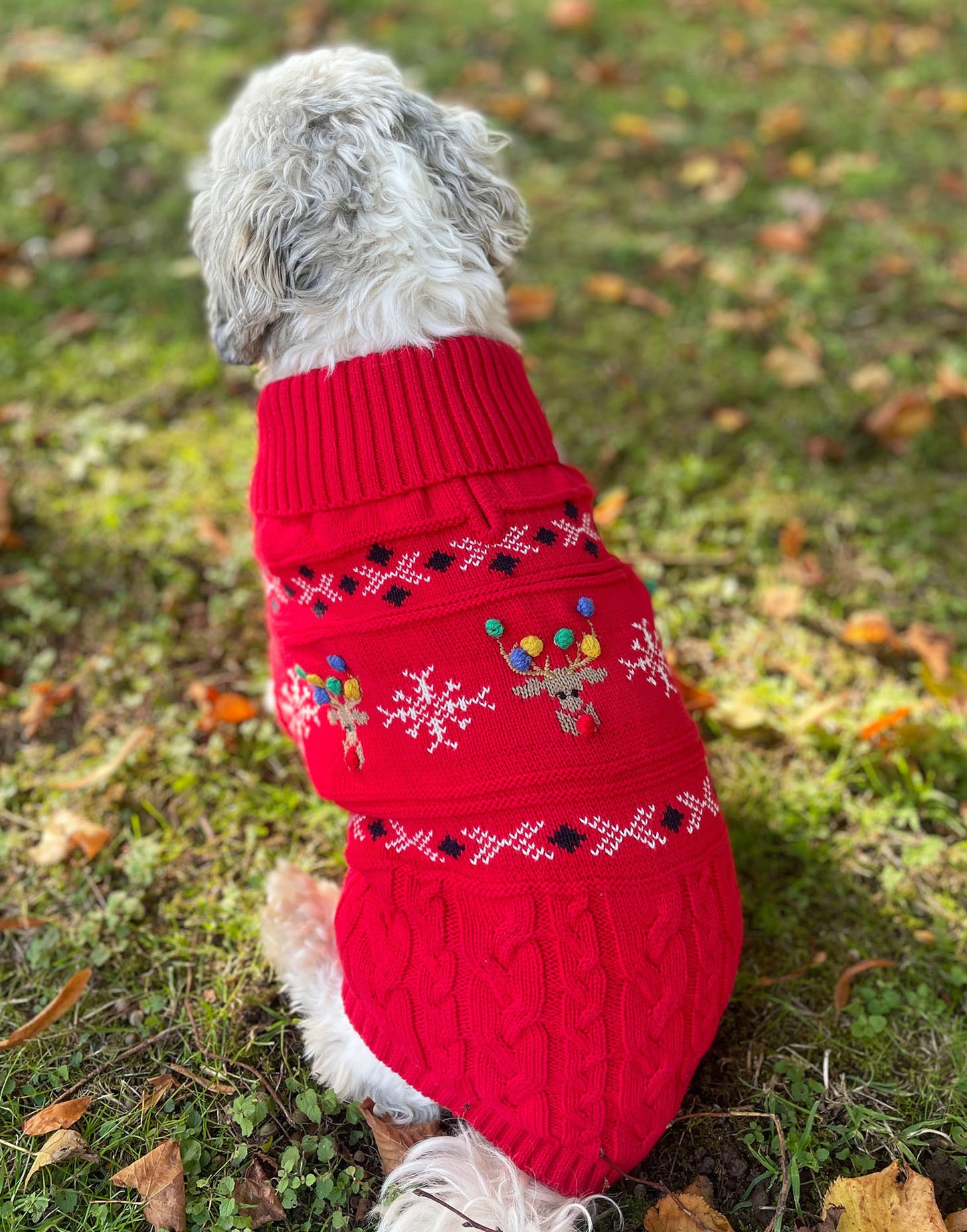 Rudolf Reindeer Fairisle Dog Jumper