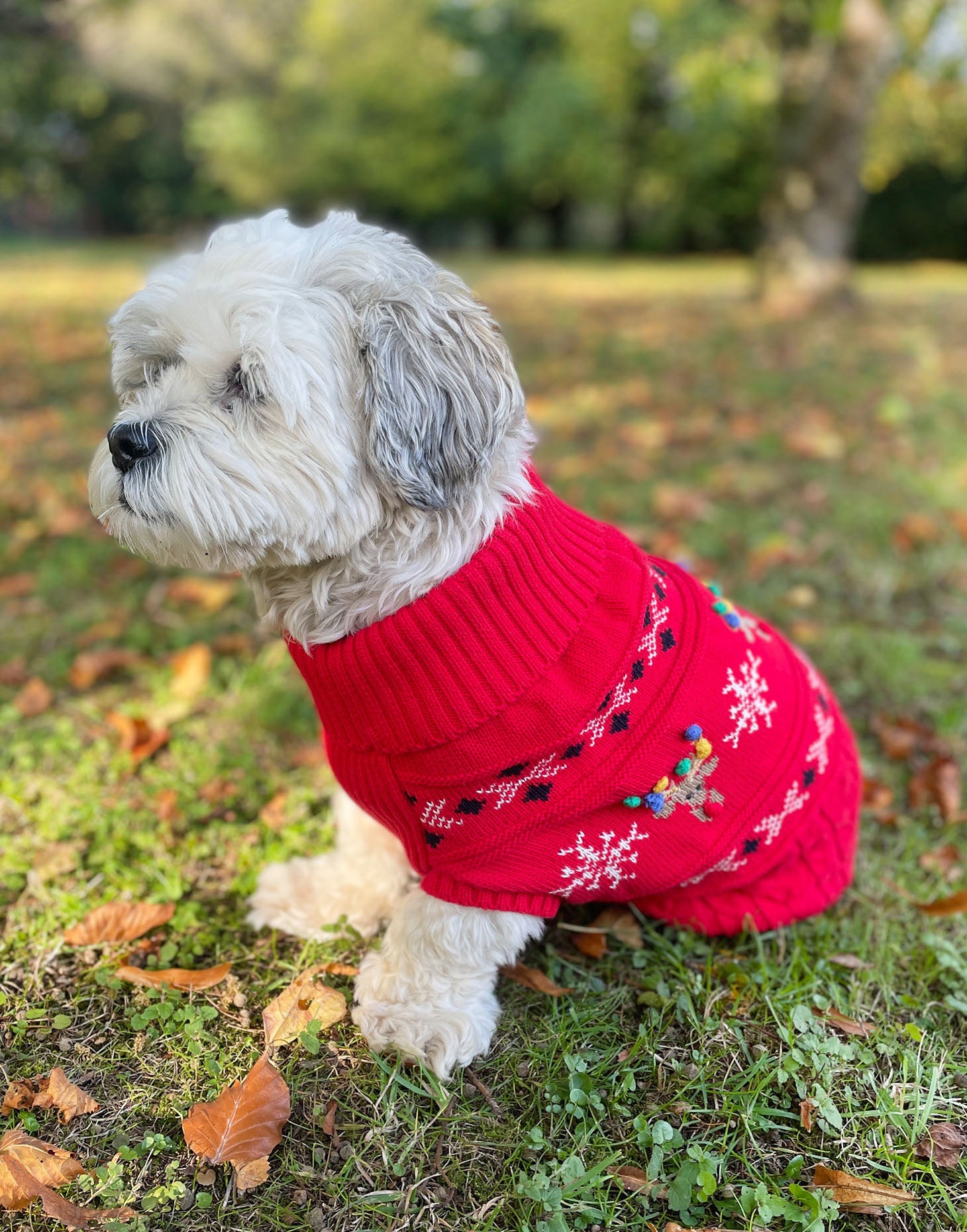 DKNY Rudolph online Red Animal Printed Sweater