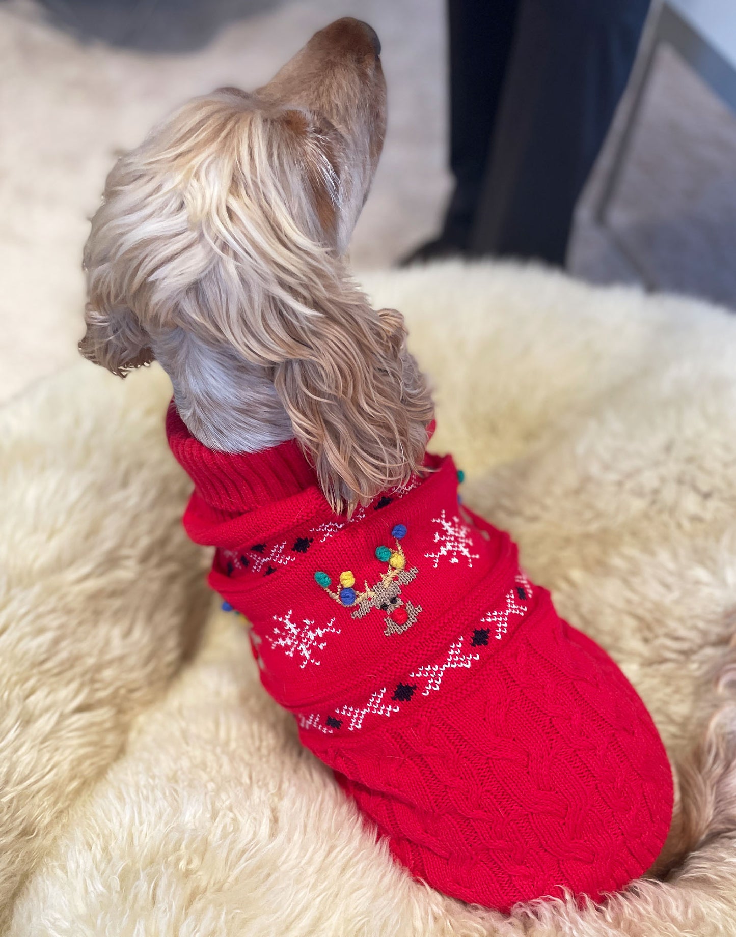 Rudolf Reindeer Fairisle Dog Jumper