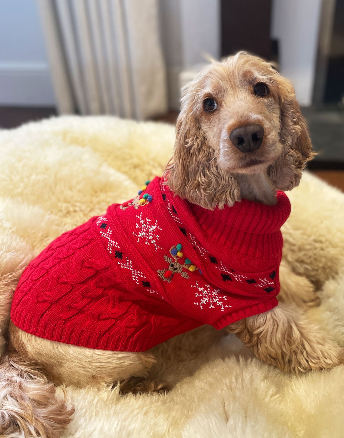 Rudolf Reindeer Fairisle Dog Jumper