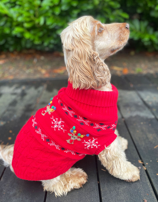 Rudolf Reindeer Fairisle Dog Jumper