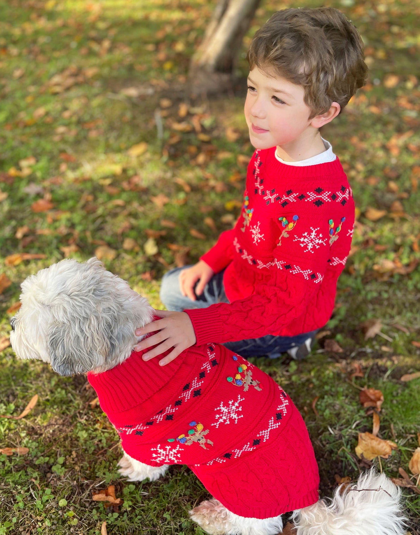 Dasher Reindeer Fairisle Jumper